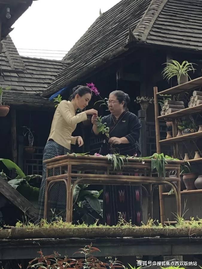闻臭袜就能导致肺部真菌感染?要满足2个条件